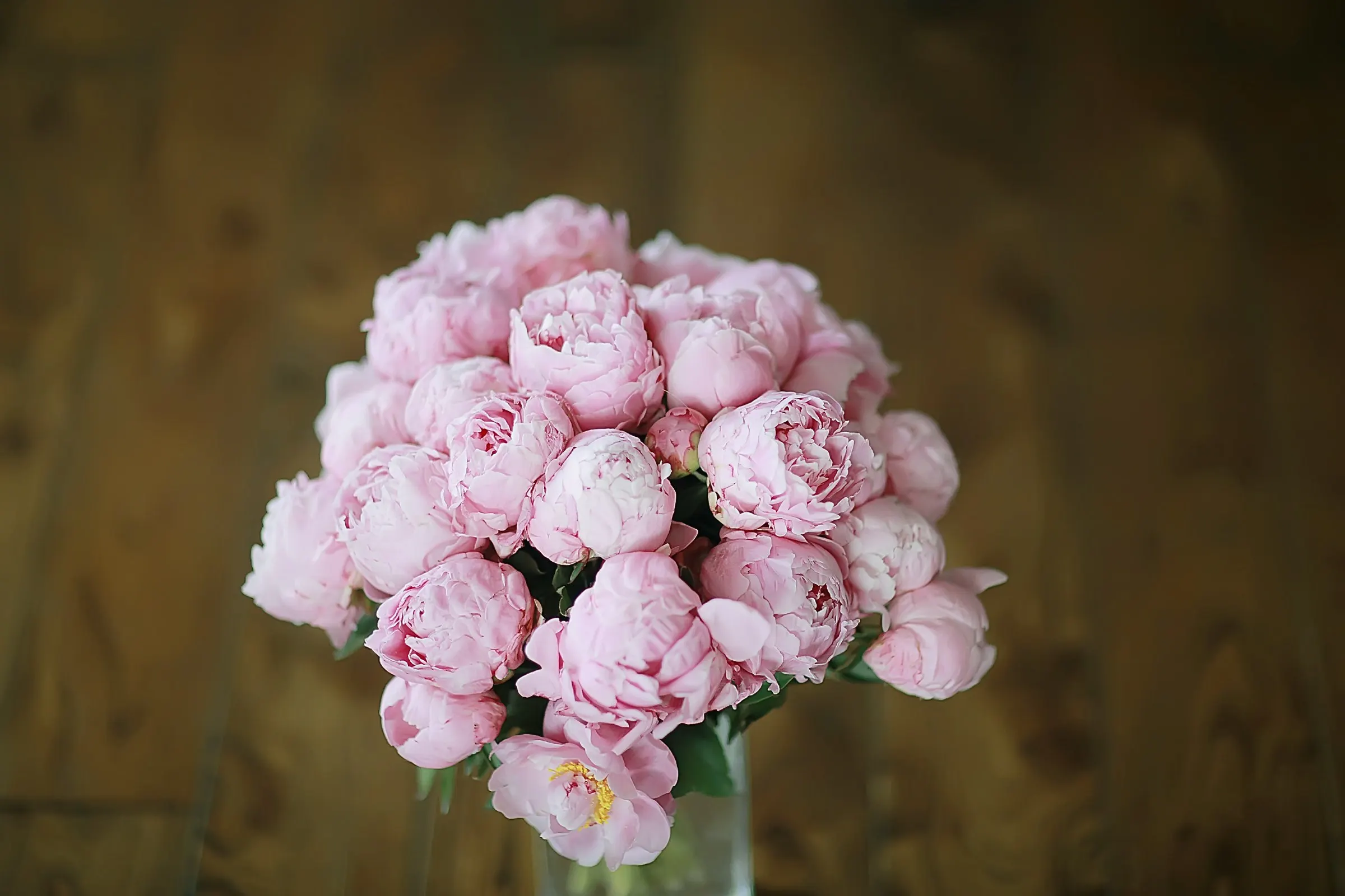 Bouquet de pivoines roses