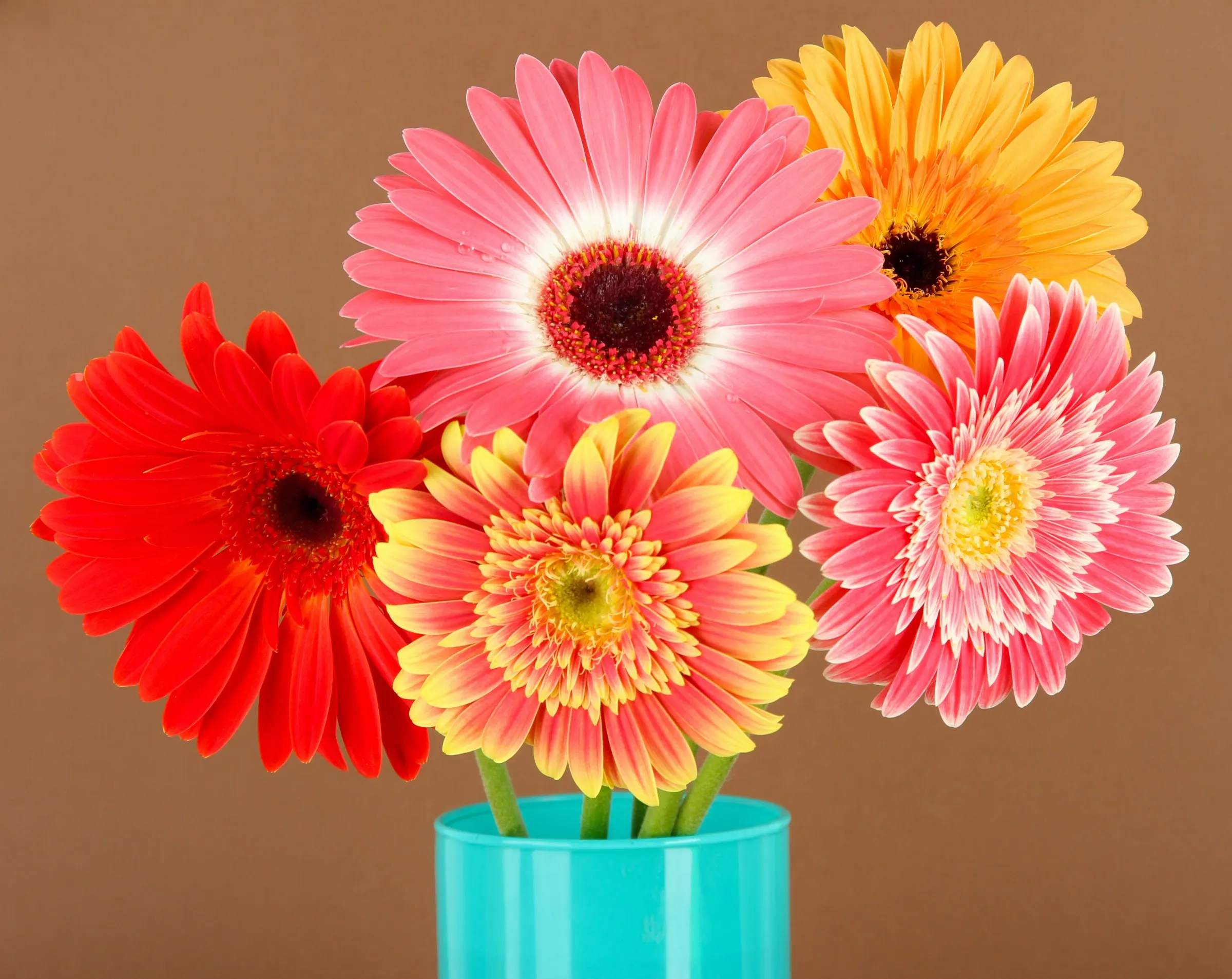Bouquet de fleurs prêt à être livré