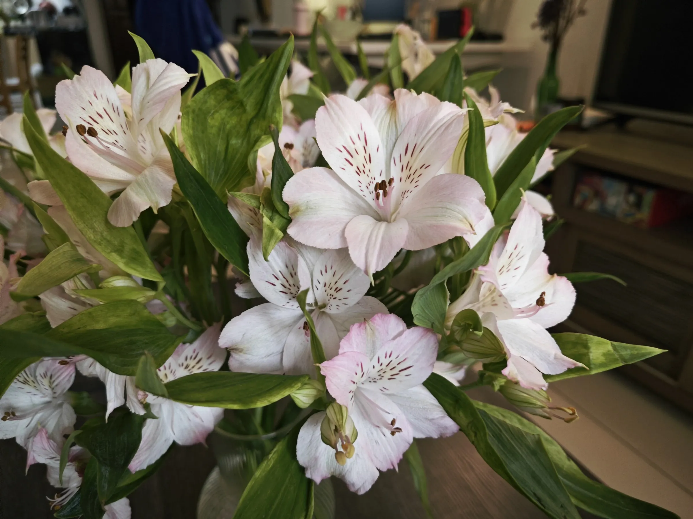 Bouquet de fleurs prêt à être livré