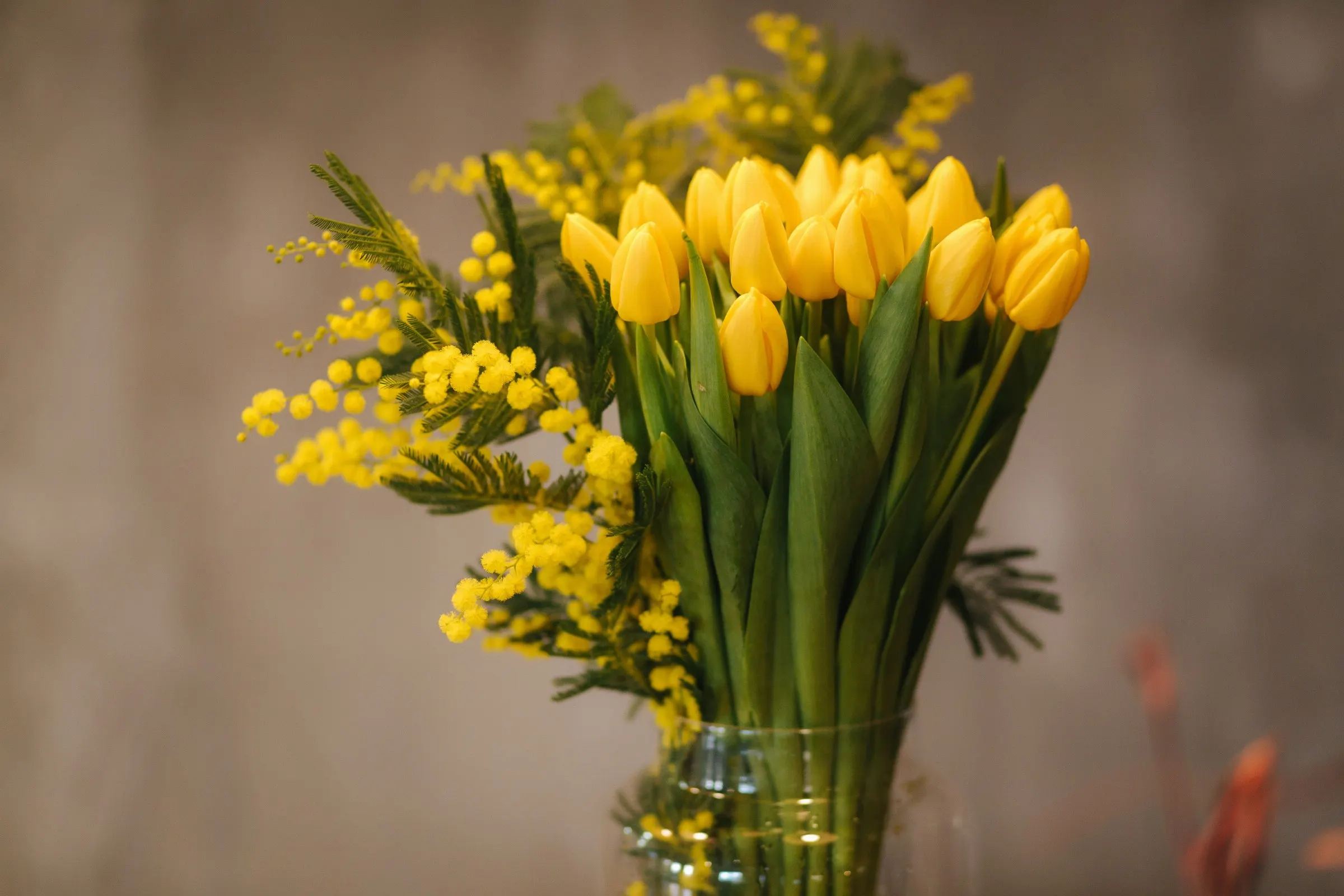 Bouquet de mimosa et de tulipes jaunes dans un vase en verre